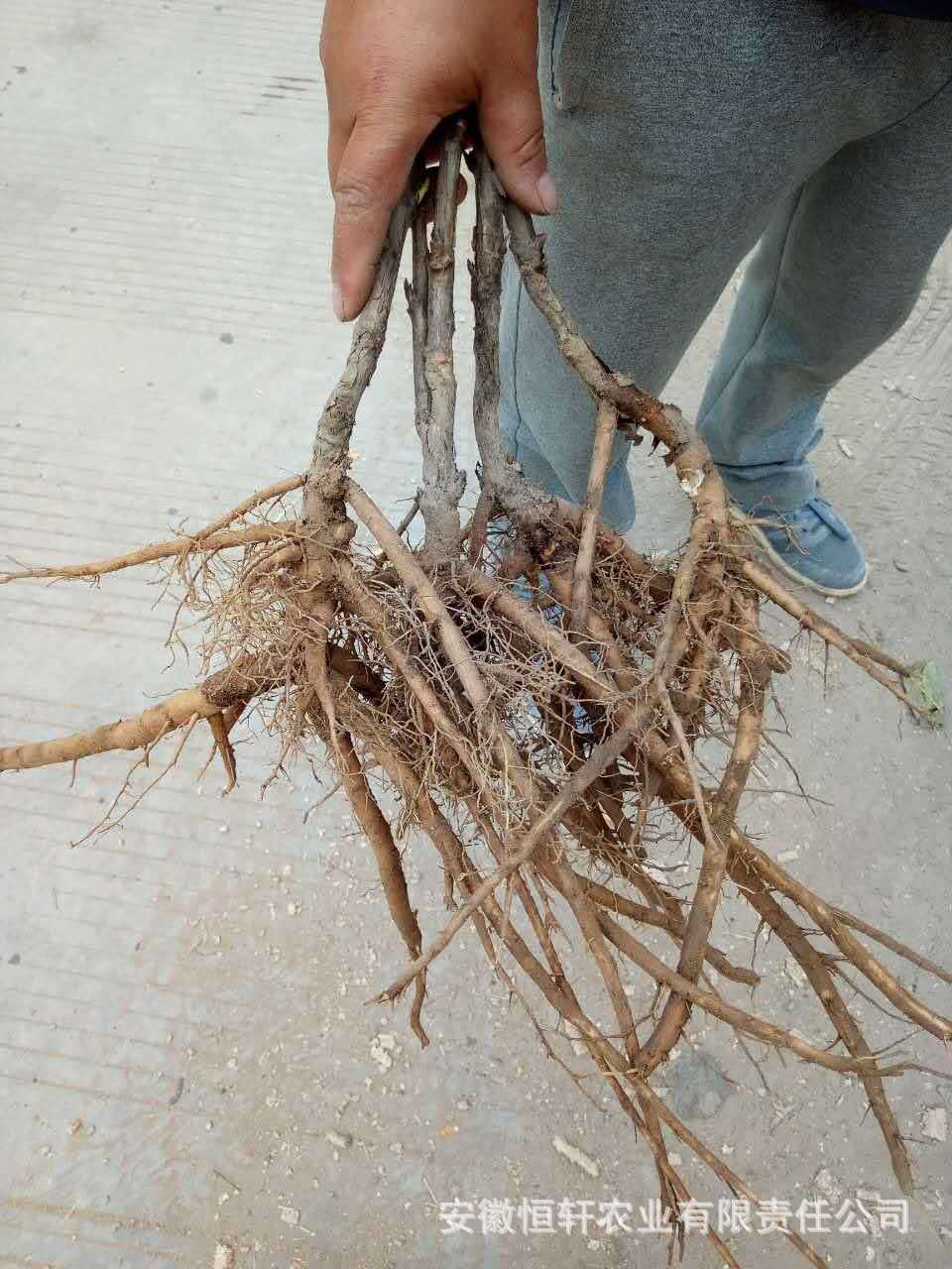 微信图片_201709201001239