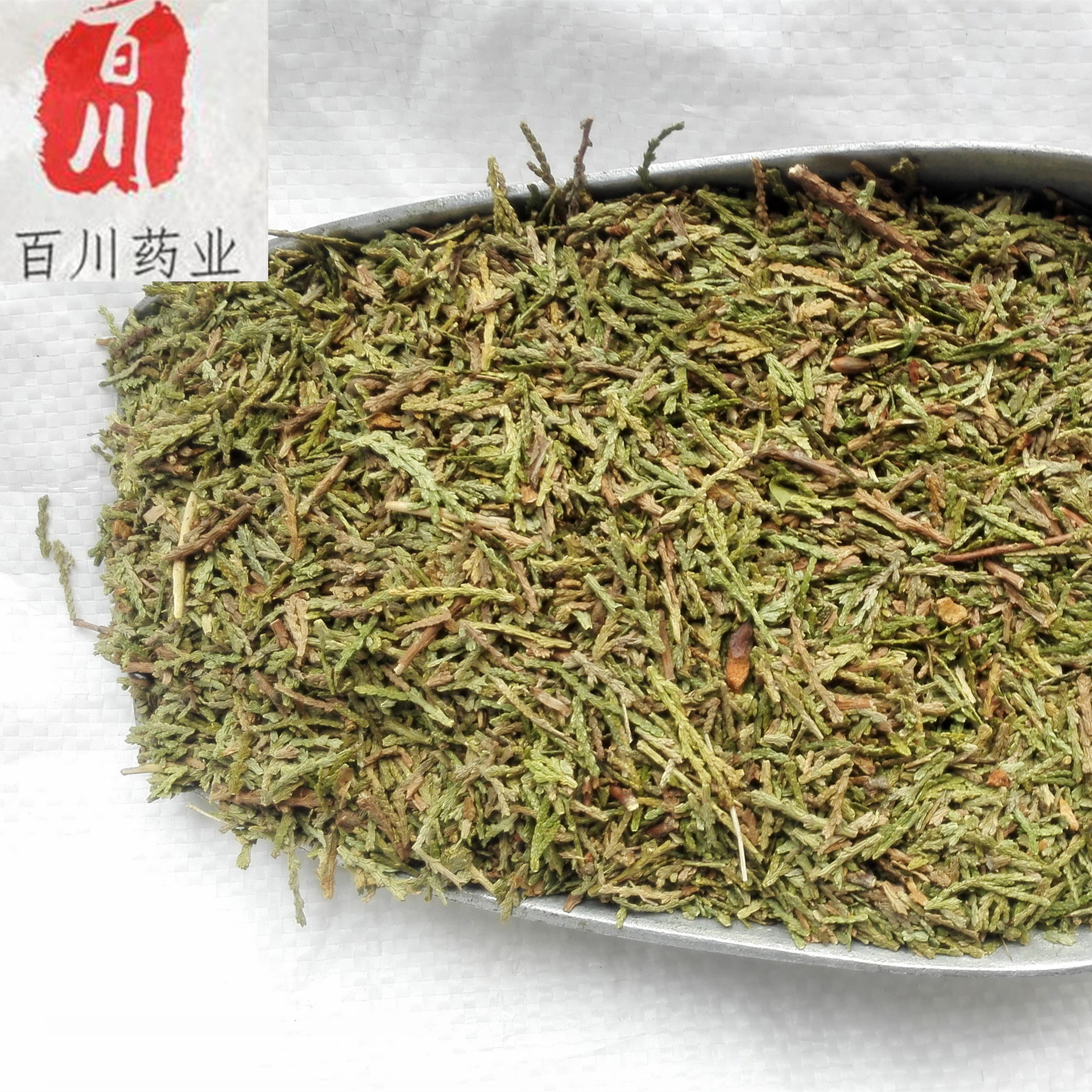 百川药业 侧柏叶中药材 侧柏叶药材 实物拍照 15天五天见退换-阿里巴巴