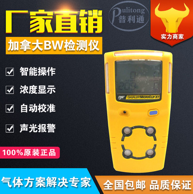 GAXT-S Canada BW Sulfur dioxide Gas detector  GAXT-S Sulfur dioxide Gas detector