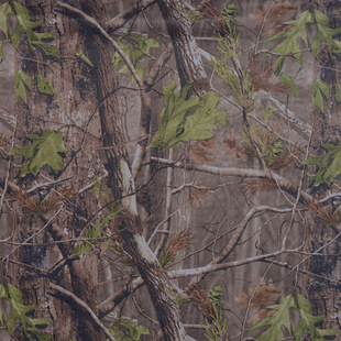 ȫɭֿ~Բ 230tA_eѝbb