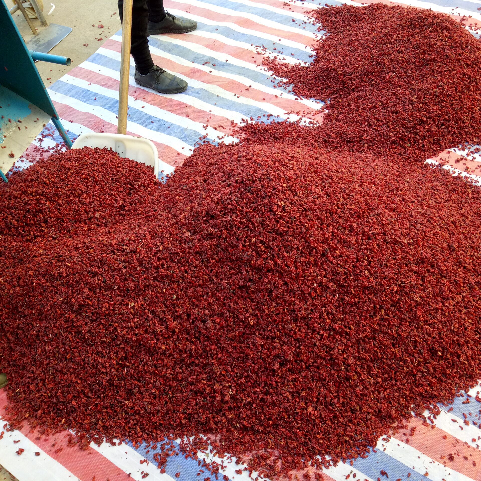Cornus Fruit Shan Zhu Yu 山茱萸 Dried Asiatic Dogwood Fruit 500g Traditional TCM Herb in use