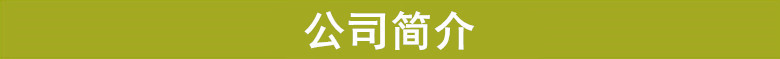 公司简介