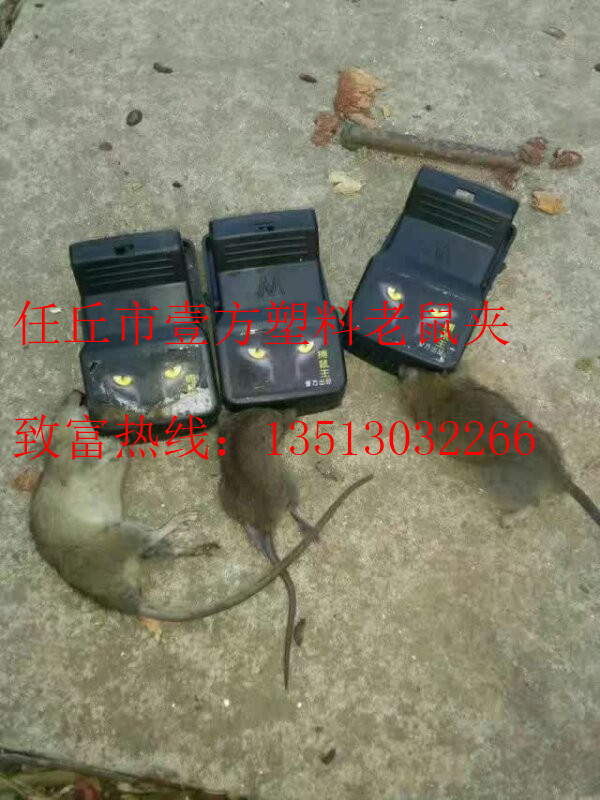 mmexport1492820379259