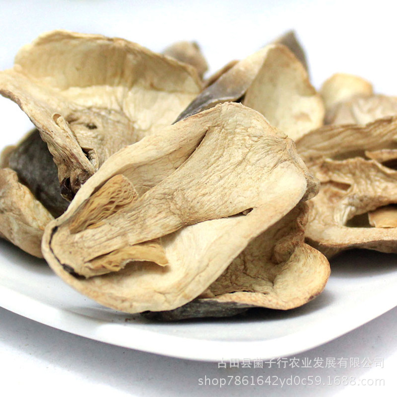 2964902156_1766974570