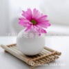 Wanshouju Baili Fragrant Hundred Days Grass Mandala Violet Daisy