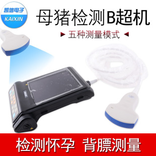 �F��B���C�P���i���ø���b���C����y�������xĸ�i�y�Ѓx