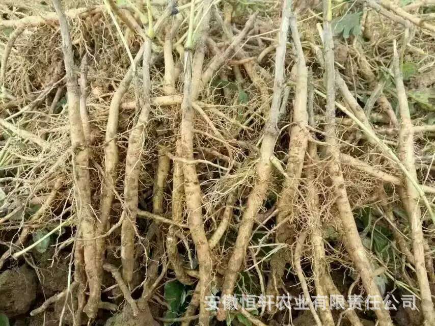 微信图片_2017090512254817