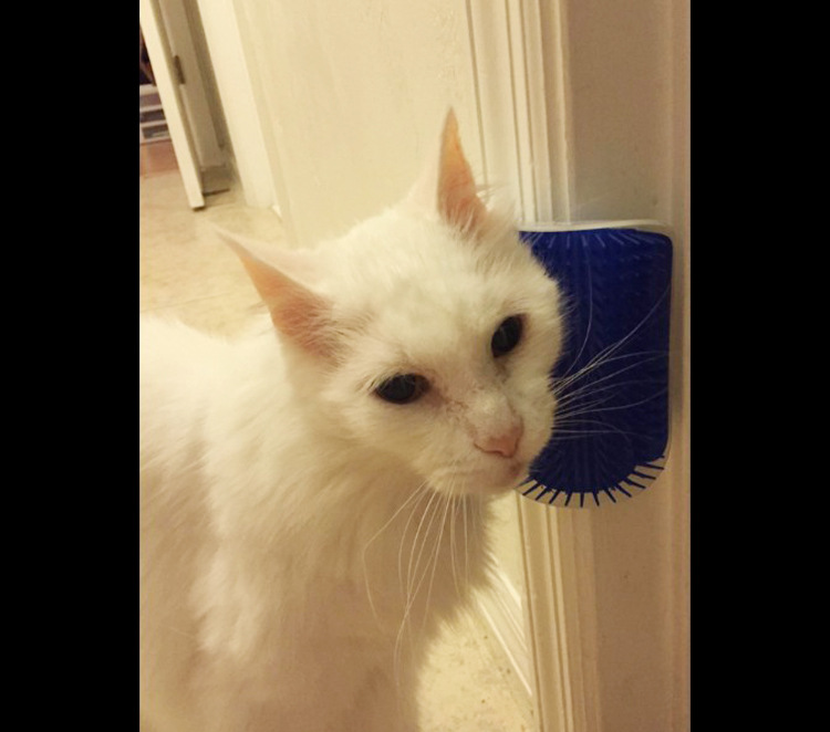 undefined