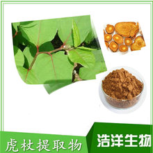 虎杖提取物 大黄素50% 白藜芦醇50%  葡萄皮白藜芦醇