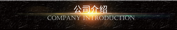 公司介绍