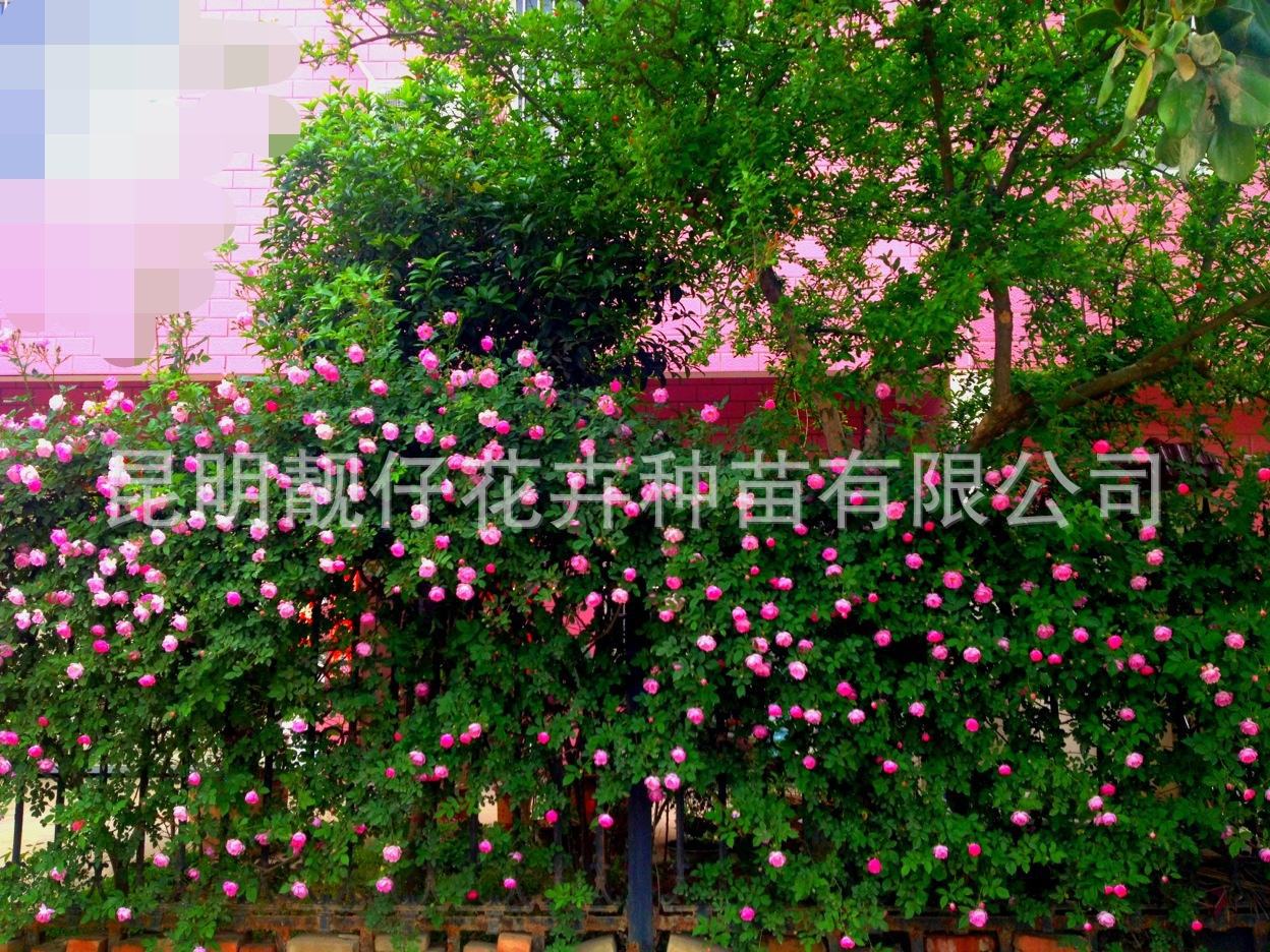 ΢ͼƬ_20170728162445