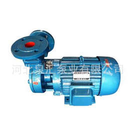 专业生产 32W-30轴联式旋涡泵  单吸悬臂式旋涡泵 高效节能