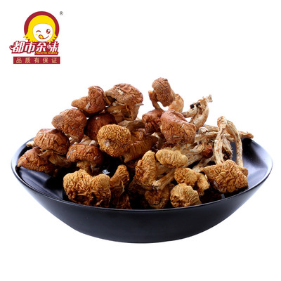 【都市余味】滑子菇150g香菇干货 煲汤美味 干货特产批发OEM