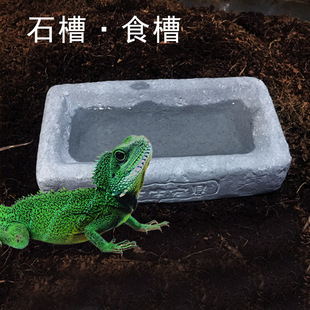 ��֬ʯ��ʽʳ��������ʳ�P��Ų���ˮ�蹷؈�����֩�����xιʳ��