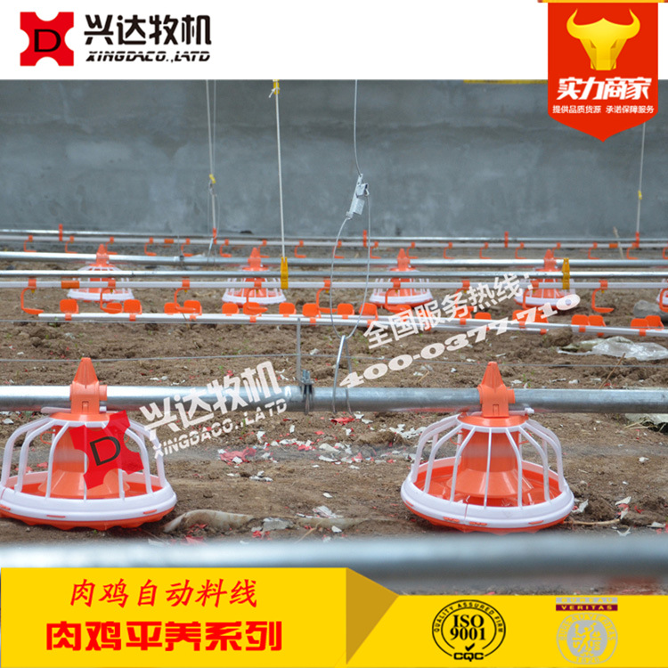 养鸡料线  养殖料线 肉鸡自动喂料线 肉鸡料线兴达牧机厂家直销