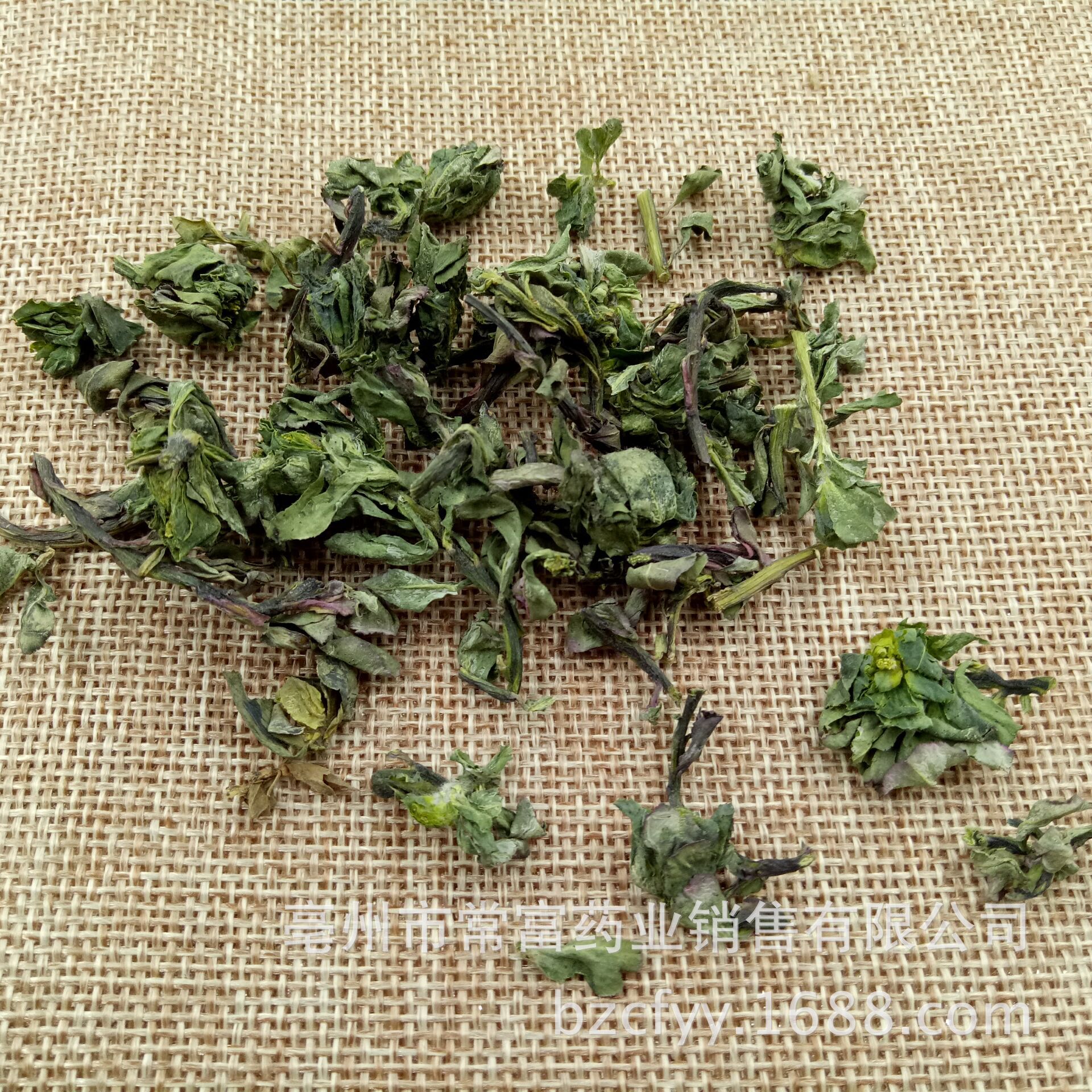 Dried Ze Qi Maoyancao Herb Slices Traditional Chinese Herbal Tea Ingredient 1 Jin Pack key features