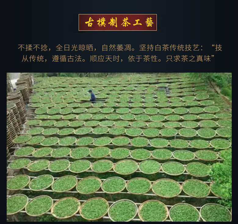 TBU5rViFuJjSZFzX7098419_副本