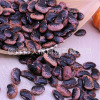 Wholesale Dahei Kuka Kiddoo -Counne Miscellaneous Grain Eye Bean Packing Five Pounds Free Shipping