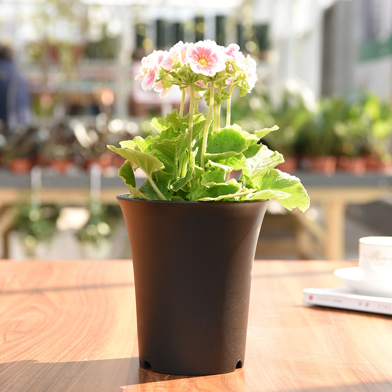 Gudao westerly plastic flowerpot factory direct large quantity discount GD-2005 Super Vientiane basin about 90g