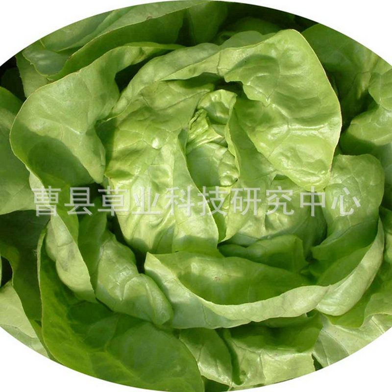 1160466859_1941745036