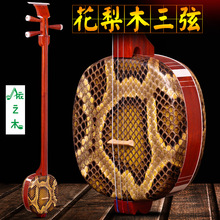 苏州民族乐器红花梨小三弦 乐器考级演奏用琴