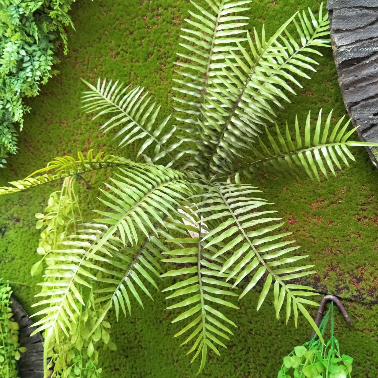 微信图片_20171008165020