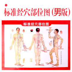 艾灸人體經絡穴位圖男女大掛圖 全身穴位圖艾條批發艾灸器具