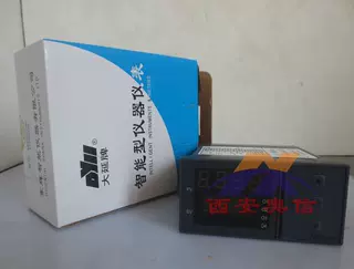 西安奥信 DY21HL06P东辉大延牌液晶批量流量积算仪DY2000(HL）
