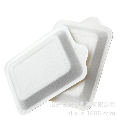 Sugarcane Pulp Biodegradable Dinner Plate Disposable Tableware Cake Plate Cake Tableware Square Paper Plate Wholesale Picnic Plate