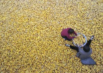 环保项目合作-农村小型加工厂 适合家庭作坊项