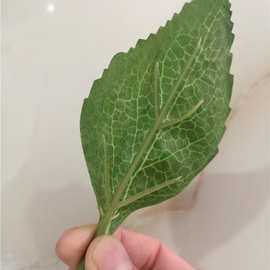 仿真花叶片 10*6厘米单片丝印小绣球叶 婚庆花绣球花Z26图片色叶