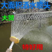 11랢ˮˇ^.^/rˮψ@ֈ@ˇ^