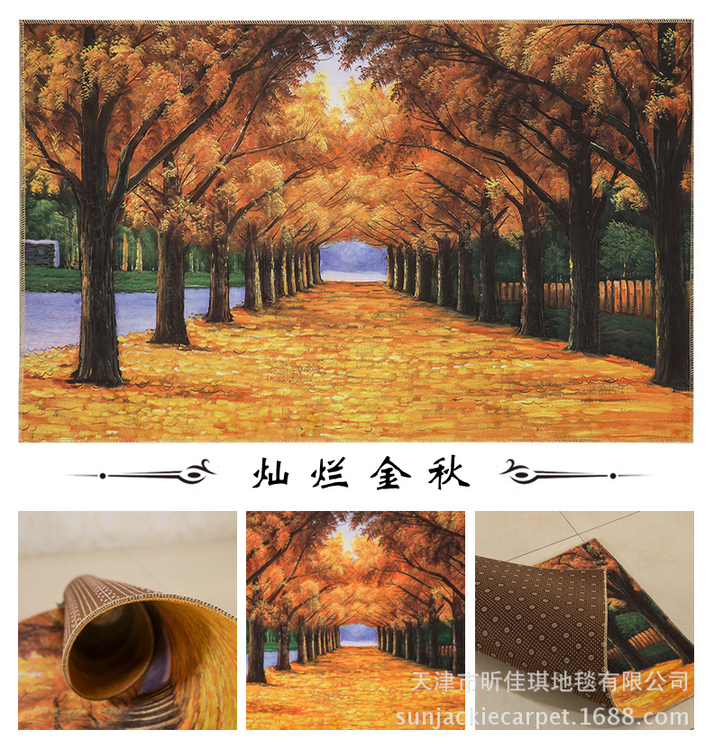 Jiaqi factory wholesale floor mat cartoon door mat kitchen floor mat bathroom floor mat carpet LOGO floor mat