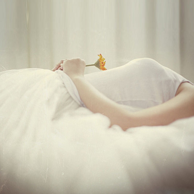 包裝盒 寵沐品牌配套粉色包裝盒及本色包裝禮盒專拍鏈接單拍不發