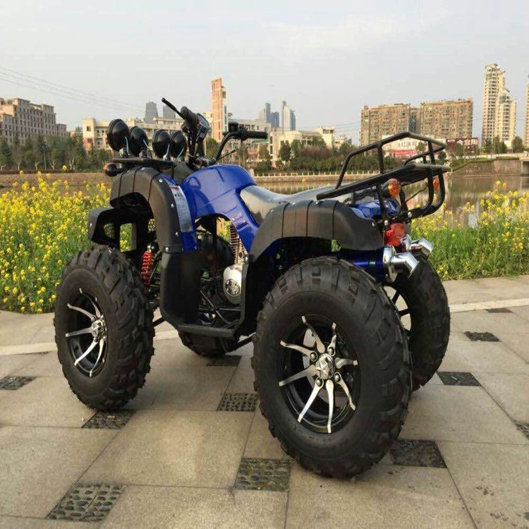 125cc-250cc Быки Beach Cars 12-дюймов Beach Motorcycle, качественный креатив