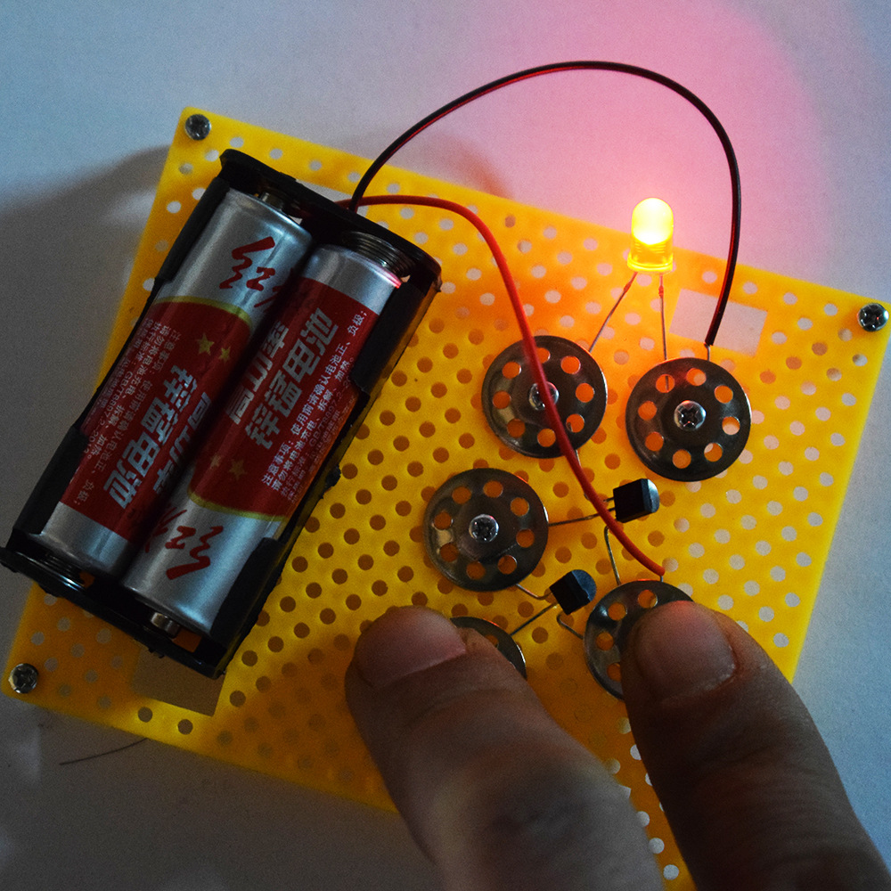 physiological constructor with accessories for experiments