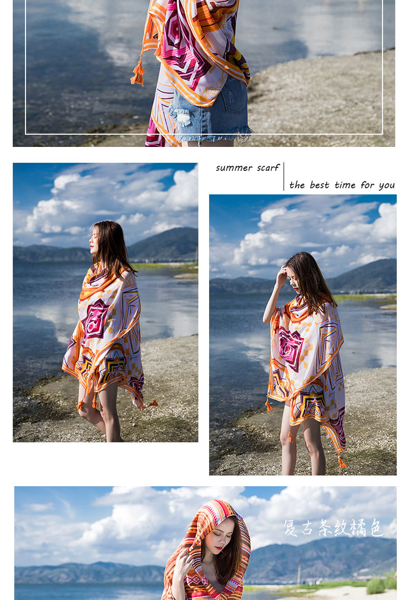 新款模板多款_14