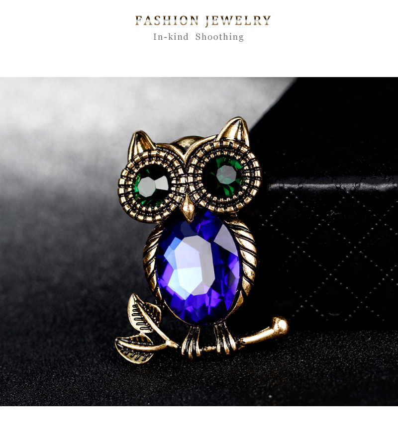 Fashion Owl Alloy Inlay Rhinestones Women's Brooches display picture 4