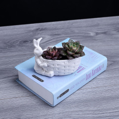 European-style desktop creative succulent pot, minimalist modern home gardening white ceramic pot home decor