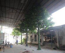 ���u�����Ř� �٘�Ř���ͷ���� �Ƶ�����b���ؔ[�O�٘�ٻ�