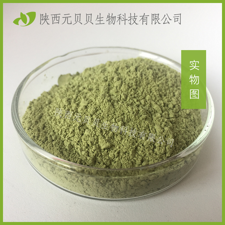 西蓝花汁粉实力工厂原料批发现货免费拿样西兰花提取物西兰花粉