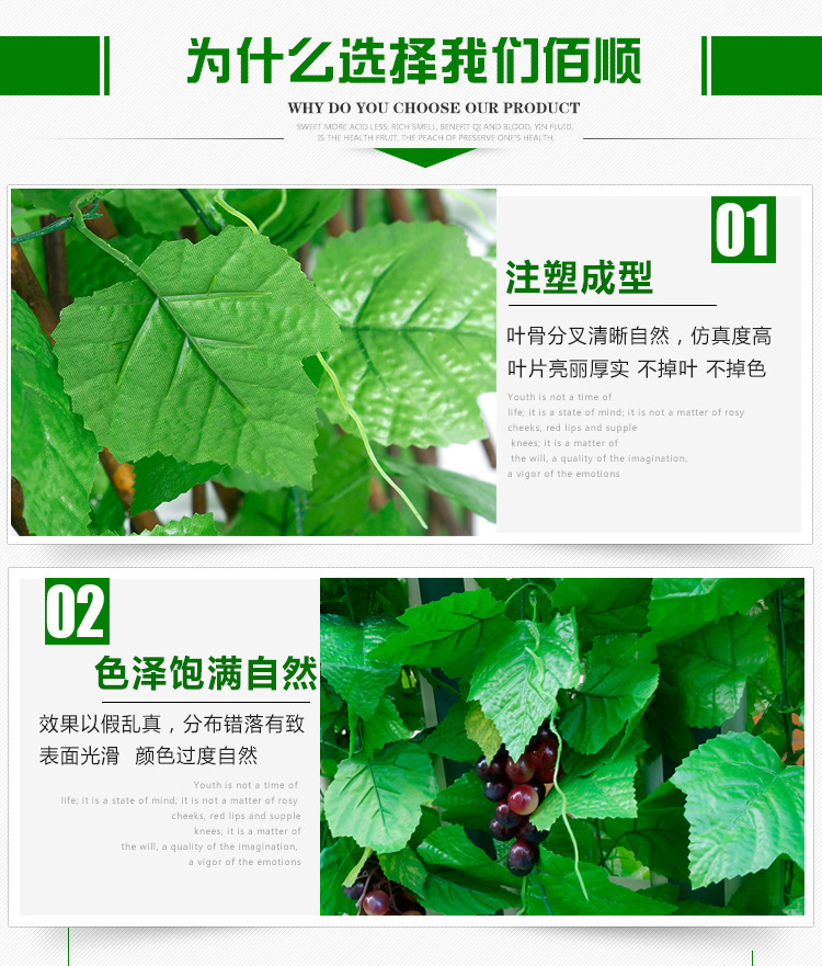 阿里葡萄叶_03