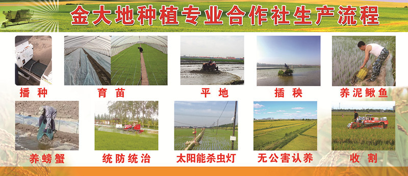 微信图片_20171009153249