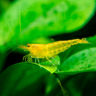 �𱳻��� �S�����r  �����r �S���r �S�r �^�p�r �ݸ��r ˮ���r