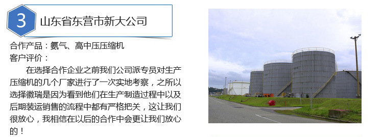 New Ammonia Compressor 2.0 Direct-Connected Special Gas Compressor Piston Refrigeration Air Compressor