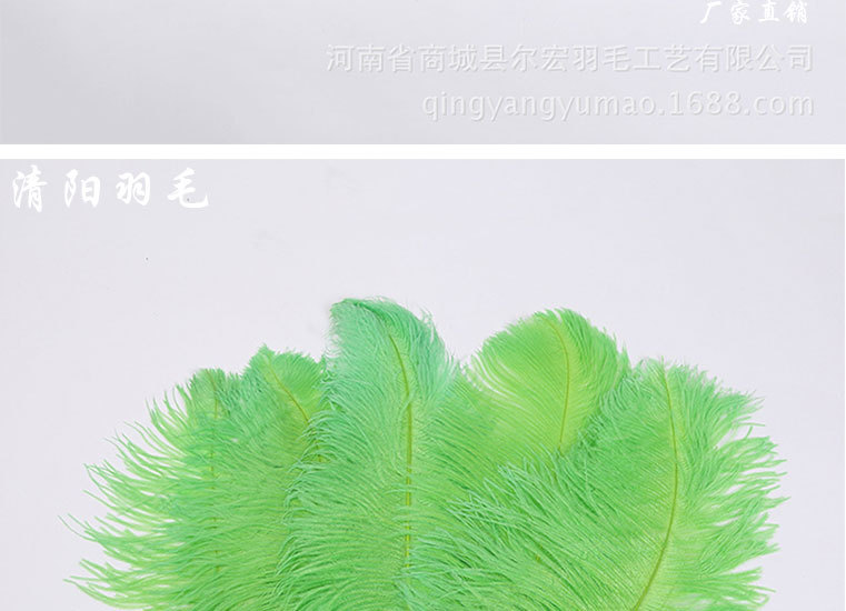 55-60果绿详情页面模板_10