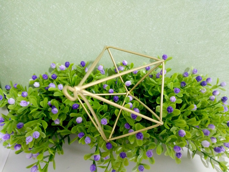 IMG_20170612_112751_副本