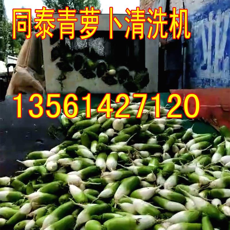 青萝卜清洗机1