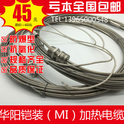 Huayang Manufacture Tropical zone GKMI-31/220V/NPT3/4/316L Mineral insulation MI Heating cable