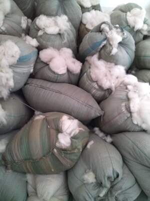 Шерсть